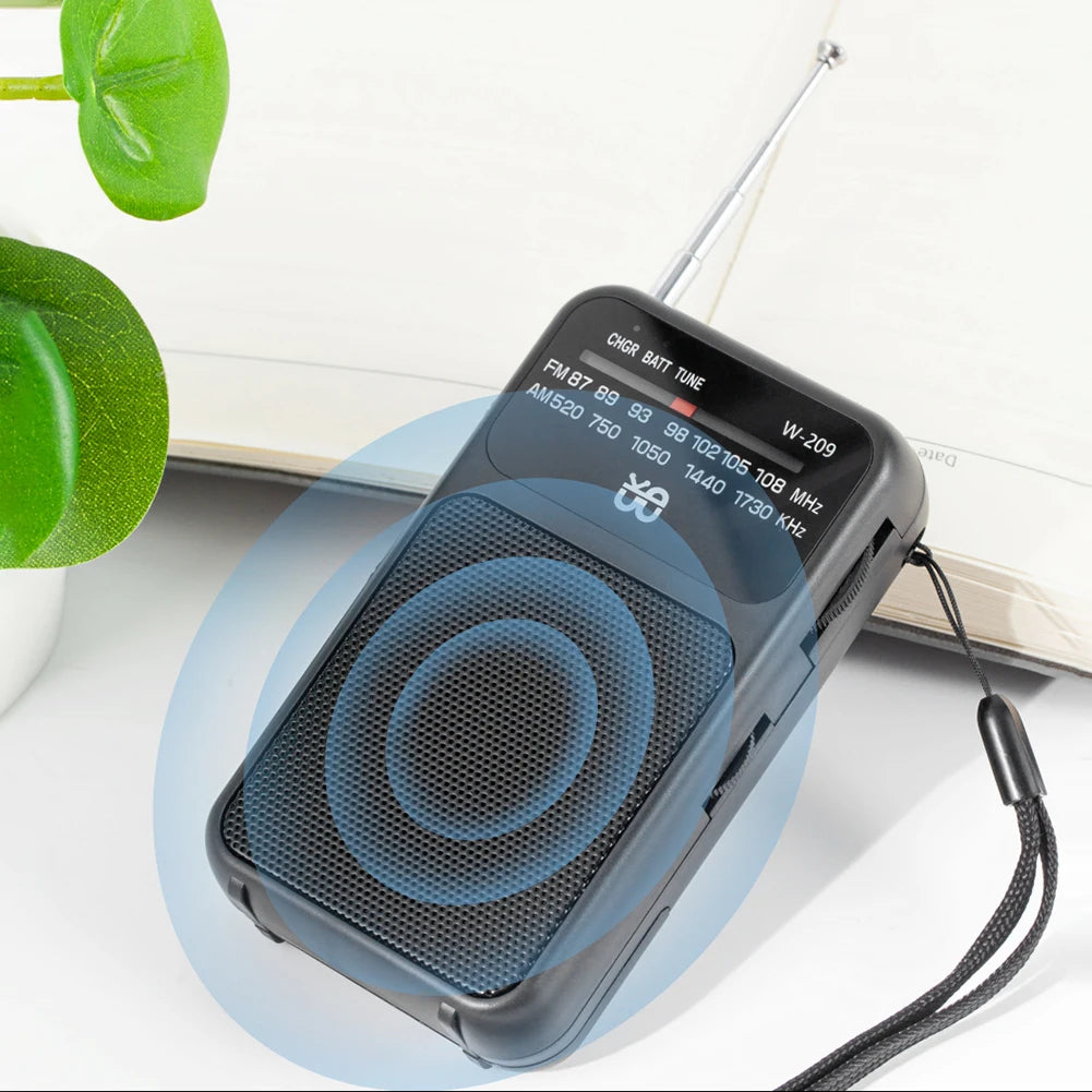 ALLOYSEED Portable AM FM Radio With Built In Speaker